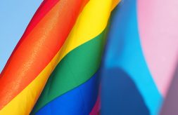 pride flag closeup